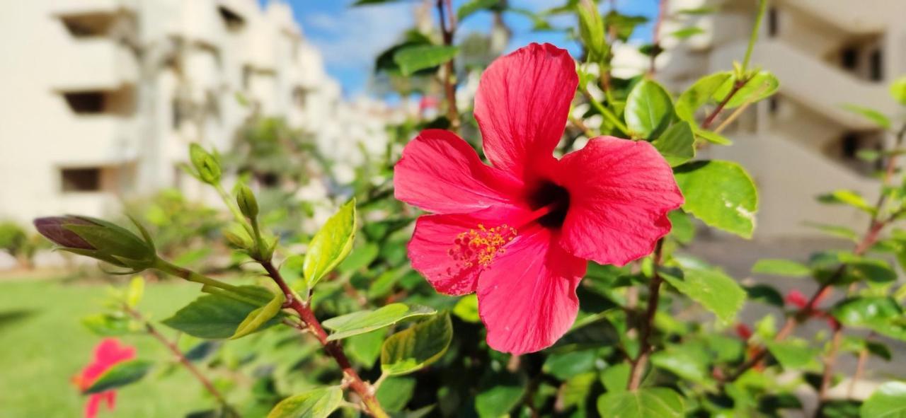 Apartamento La Felicidad II By Denia Costa Екстер'єр фото